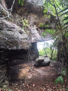 trilha acesso Pedra do Pilão2 