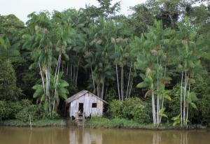 paisagens / river scenes / paysages