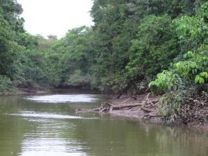 Carmo River Scenes