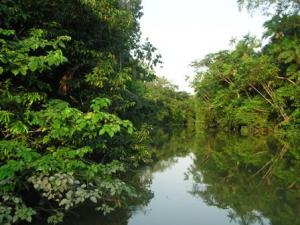 Carmo River Scenes 