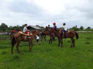 Carmo horse riding