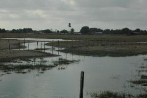 Sanjo flooded fields
