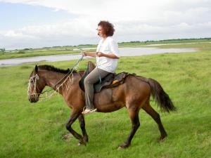 Sanjo horse riding