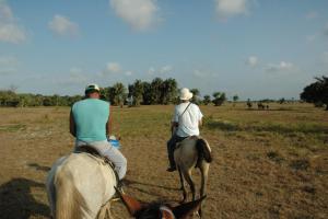 Sanjo tour by horse