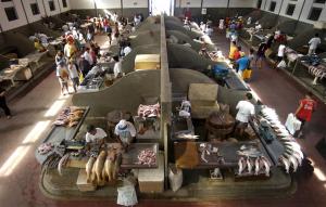 Fish market